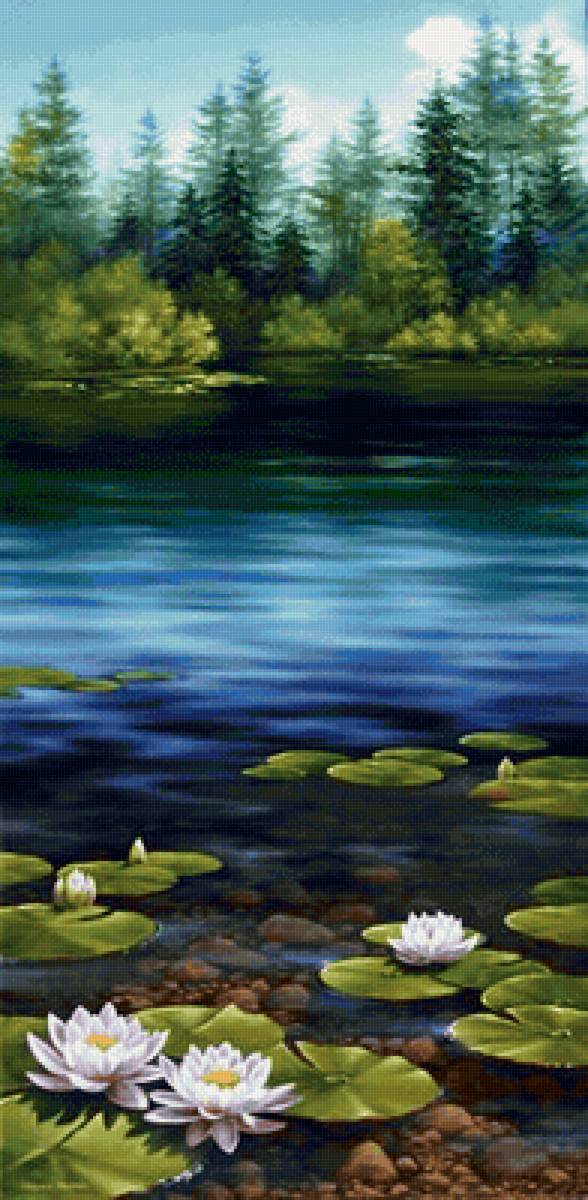 Maine Landscape - seascape and still life artist - предпросмотр