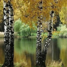 Схема вышивки «пейзаж-осень»