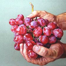 Схема вышивки «виноград»