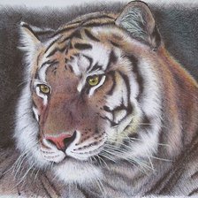 Схема вышивки «№2173475»