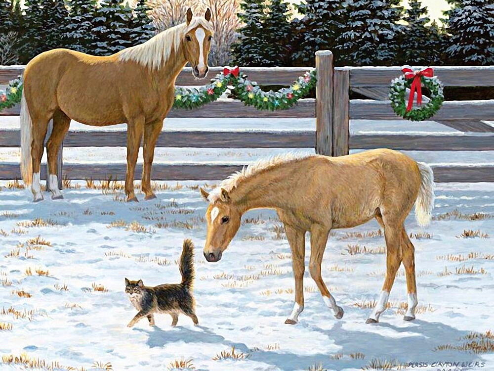 Прогулка по манежу - кошка, кони, солнце, снег, зима - оригинал