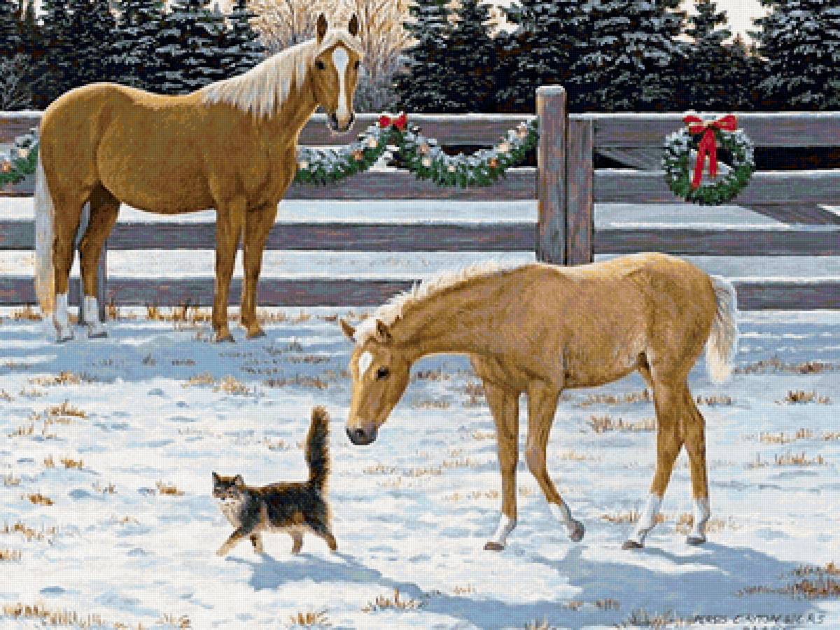 Прогулка по манежу - кони, кошка, солнце, снег, зима - предпросмотр