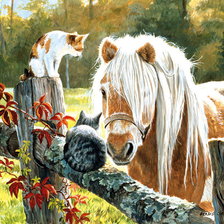 Схема вышивки «Осенние посиделки»