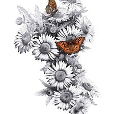 Схема вышивки «рисунок»