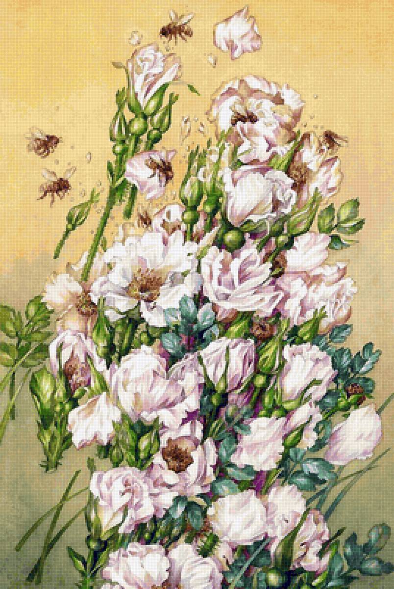 время пчёл - предпросмотр