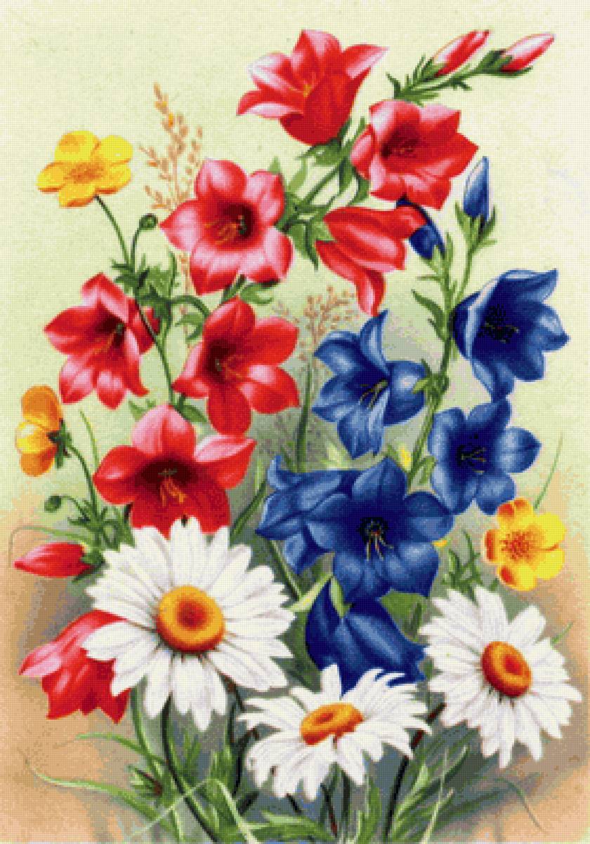 Полевые цветы - предпросмотр