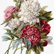Схема вышивки «Пионы»