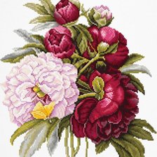 Схема вышивки «Пионы и лимонница»