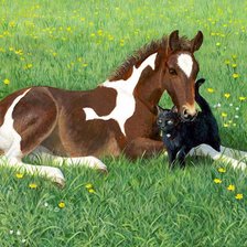 Схема вышивки «Звездочка и Черныш»