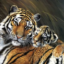 Схема вышивки «дикие»