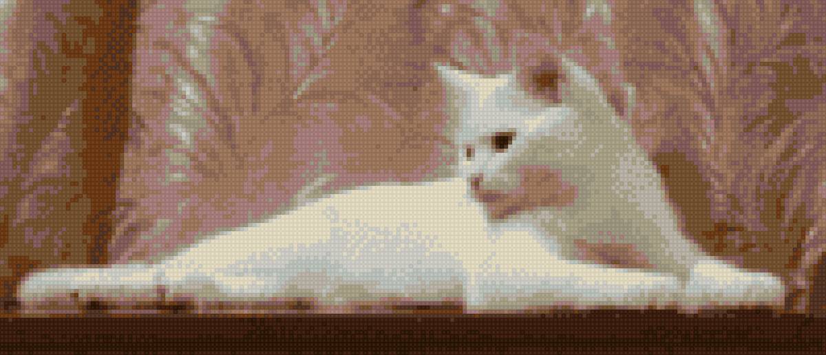 Мартин - кот белый - предпросмотр