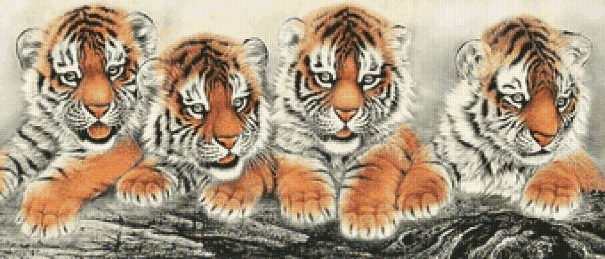 ТИГРЯТА - тигрята - предпросмотр