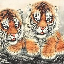 Схема вышивки «ТИГРЯТА»