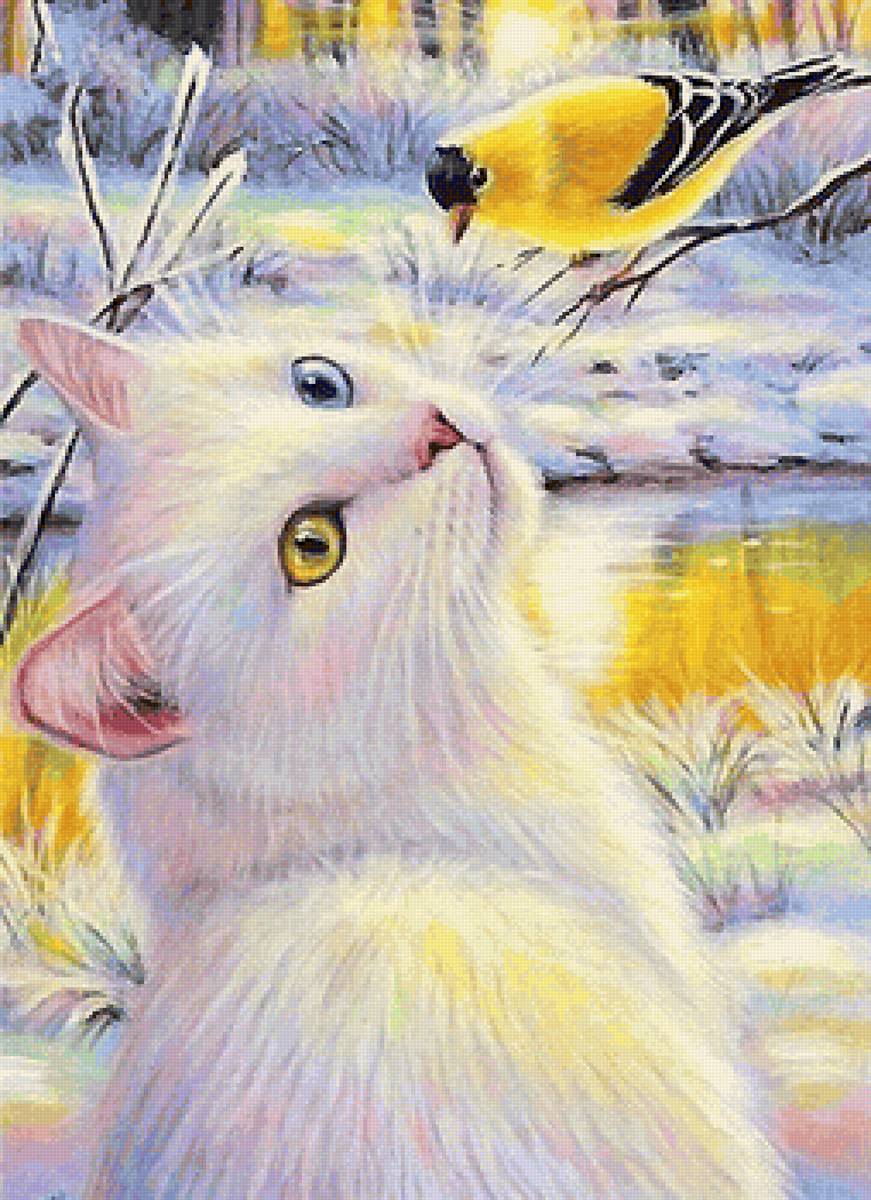 кот и птица - кот, птица - предпросмотр