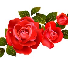 Схема вышивки «Розы»