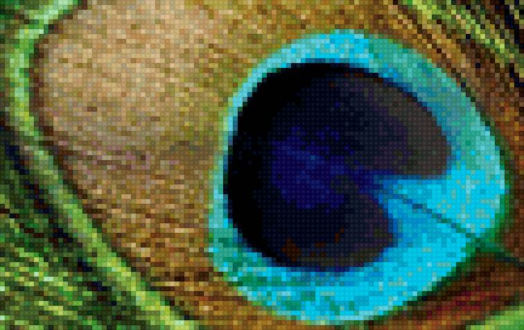 Перо Павлина - павлин, веды, гопал, перо, кришна - предпросмотр