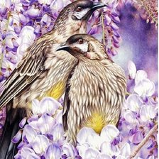 Pássaros nas flores