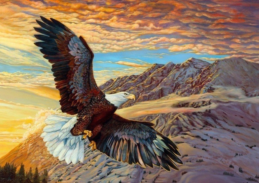 Águia, - pássaro, paisagens - оригинал