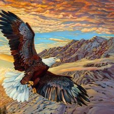 Схема вышивки «Águia,»