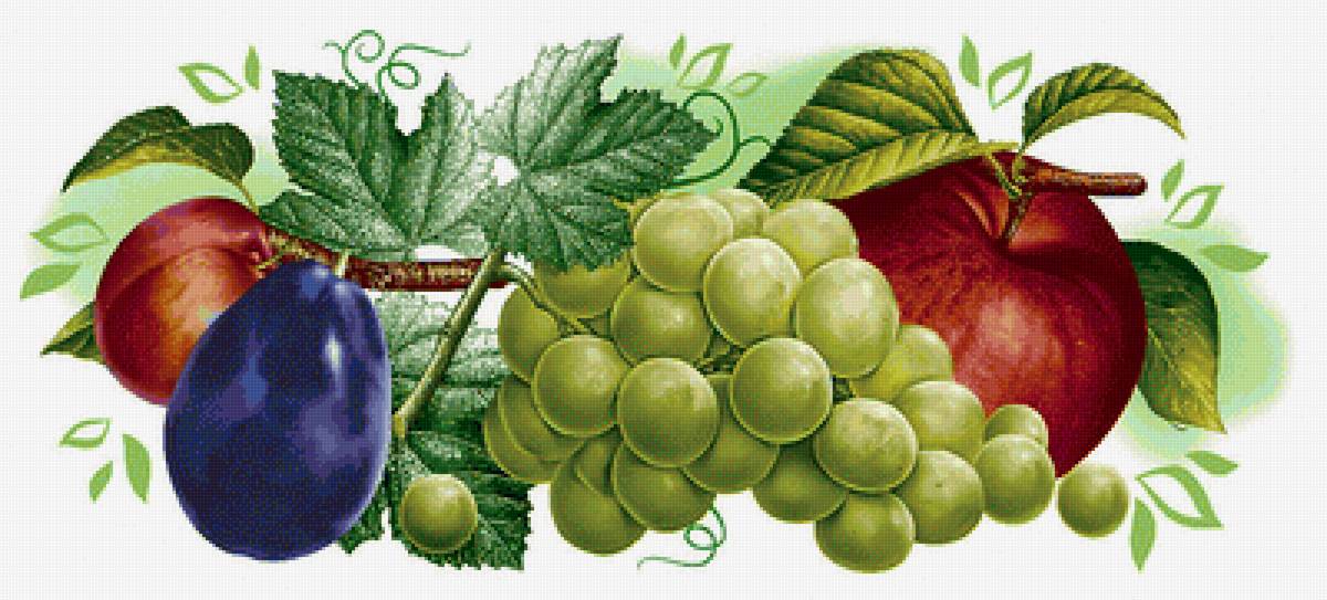 ПАНЕЛЬКА- ФРУКТЫ - предпросмотр