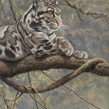 Схема вышивки «Selvagens.»