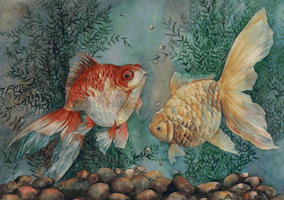 рыбки - предпросмотр