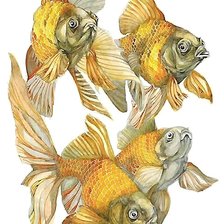 Схема вышивки «рыбки»