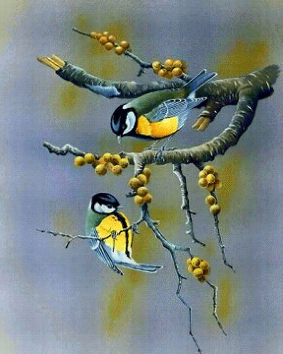 Птички - птицы - предпросмотр