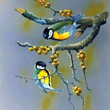 Схема вышивки «Птички»