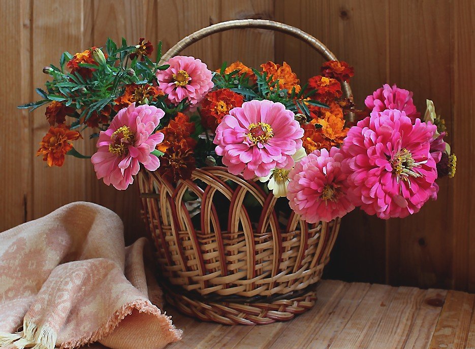 Циннии - оригинал