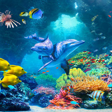 Схема вышивки «Водный мир»