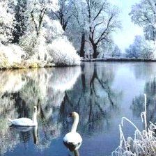 Схема вышивки «Лебеди на пруду»