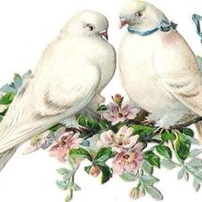 Схема вышивки «ГОЛУБИ»