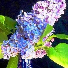 Схема вышивки «Одинокая ветка сирени»