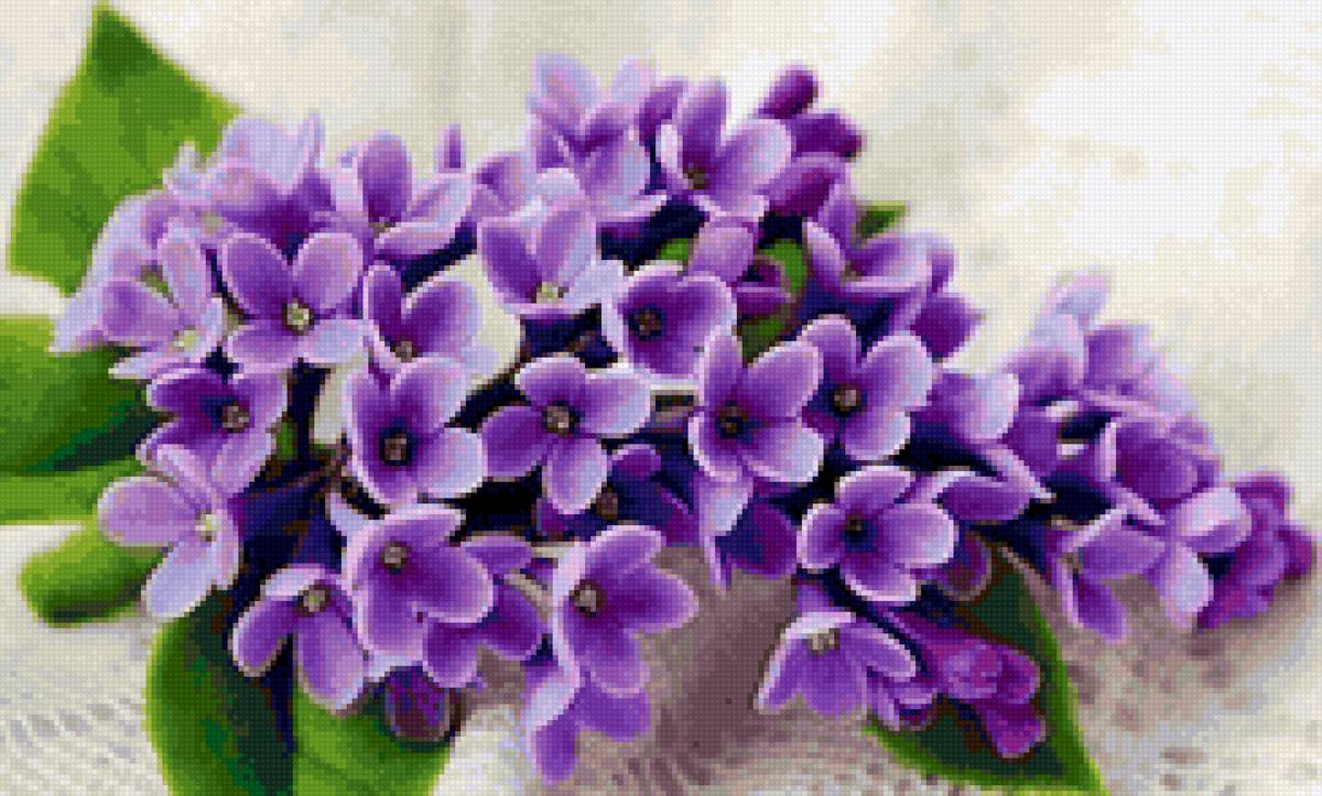 Одинокая ветка сирени - букет, натюрморт, цветы, сирень - предпросмотр