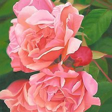 Схема вышивки «куст розы»