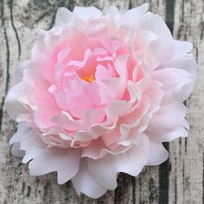 Схема вышивки «Пион»