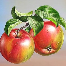 Схема вышивки «№2177283»