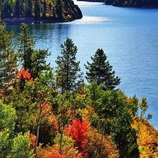 Схема вышивки «Осень»