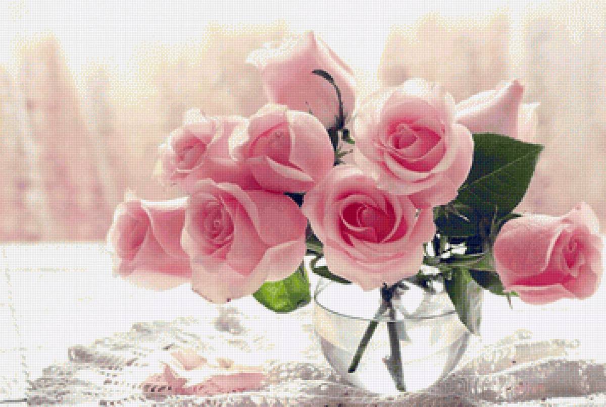 Roses - предпросмотр