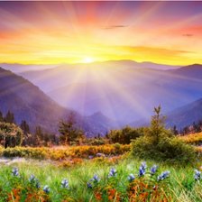 Схема вышивки «№2177799»