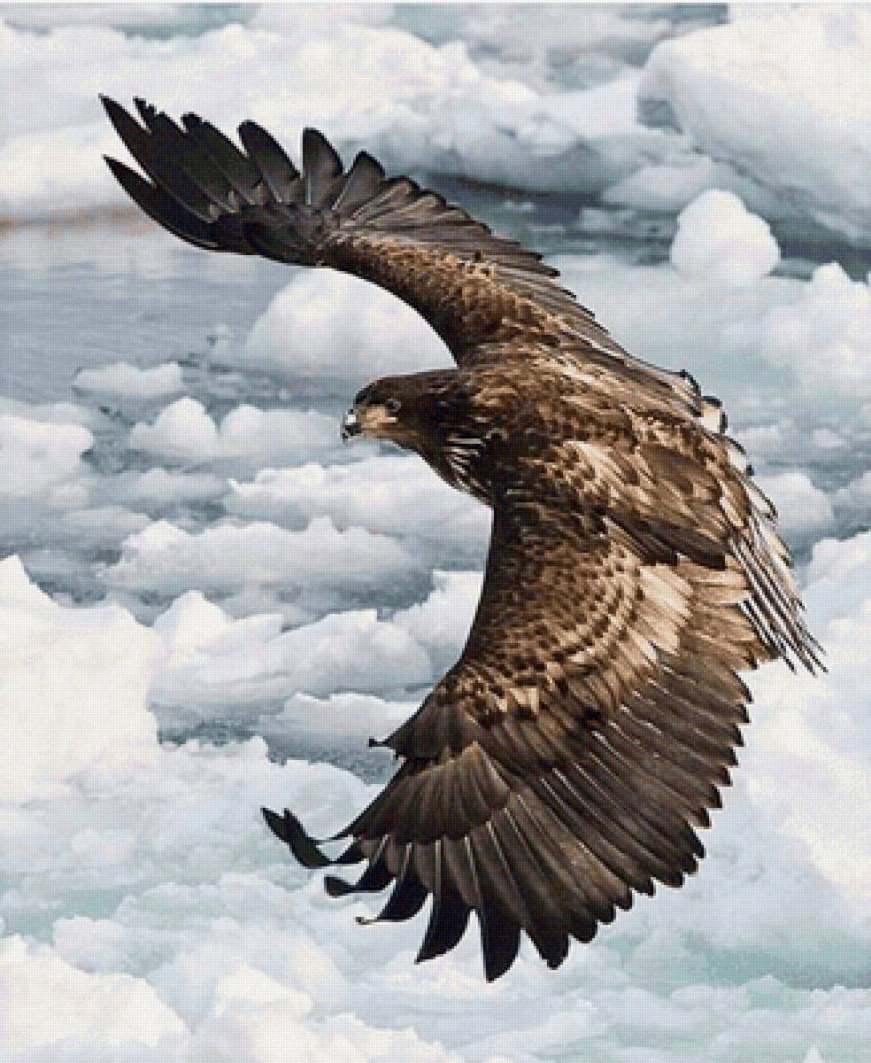 №2178040 - предпросмотр