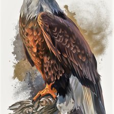 Схема вышивки «№2178044»