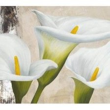 Схема вышивки «callas»