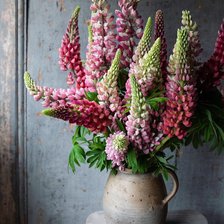 Схема вышивки «Люпины.»