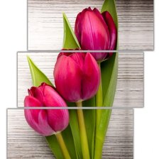 Схема вышивки «тюльпаны»