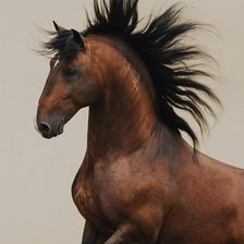 Схема вышивки «Конь»