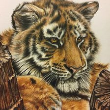 Схема вышивки «№2178665»