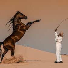 Схема вышивки «Арабы»