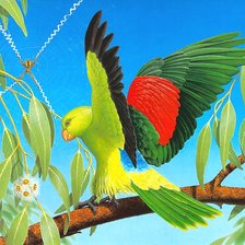 Схема вышивки «попугай»